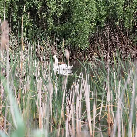 Vitan Modern Apartment, Sleeps 4 Apartament *