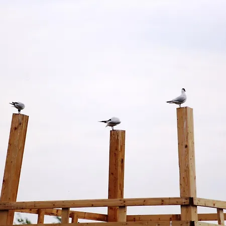 Vitan Modern Apartment, Sleeps 4