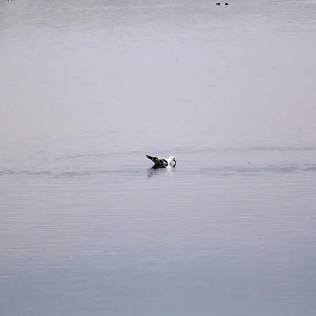 Appartement Vitan Modern Apartment, Sleeps 4 *