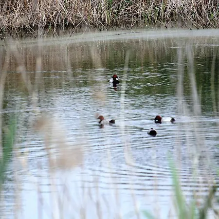 Vitan Modern Apartment, Sleeps 4