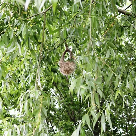 Appartement Vitan Modern Apartment, Sleeps 4 Bucarest