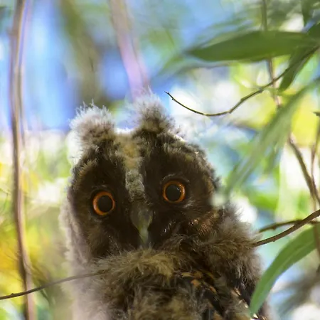 Appartement Vitan Modern Apartment, Sleeps 4 Bucarest