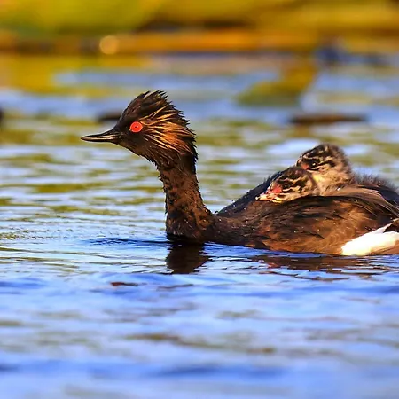 Vitan Modern Apartment, Sleeps 4 Boekarest