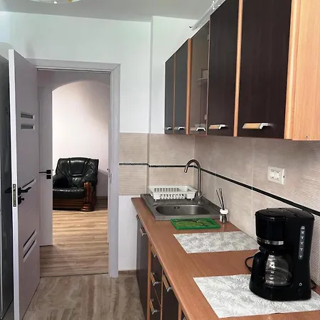 Apartament Vitan Luxury *