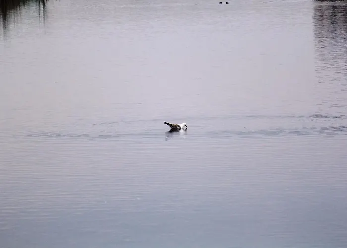 Lejlighed Vitan Modern Apartment, Sleeps 4 *