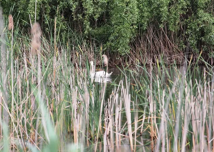 Vitan Modern Apartment, Sleeps 4 아파트 *