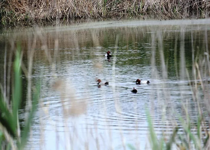 Vitan Modern Apartment, Sleeps 4