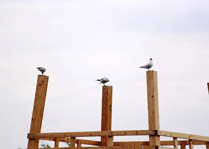 Vitan Modern Apartment, Sleeps 4