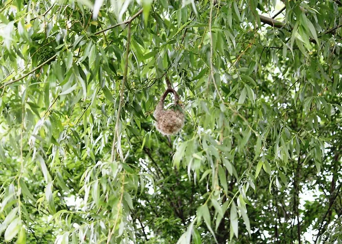 아파트 Vitan Modern Apartment, Sleeps 4 부쿠레슈티