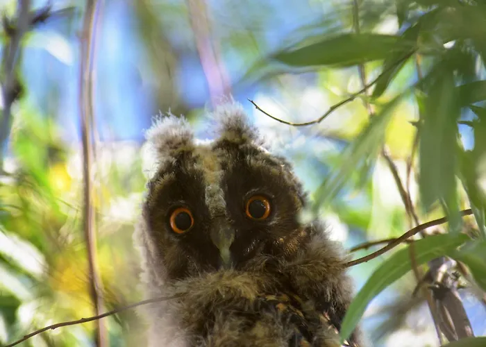 아파트 Vitan Modern Apartment, Sleeps 4 부쿠레슈티