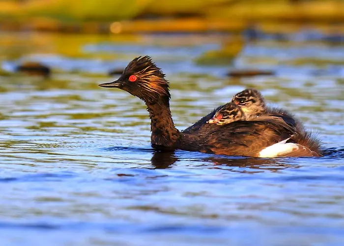 Vitan Modern Apartment, Sleeps 4 Bukarest