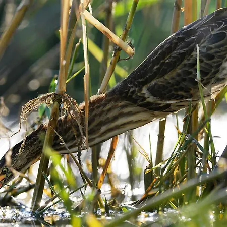 Vitan Modern Apartment, Sleeps 4 Apartmán Bukurešť