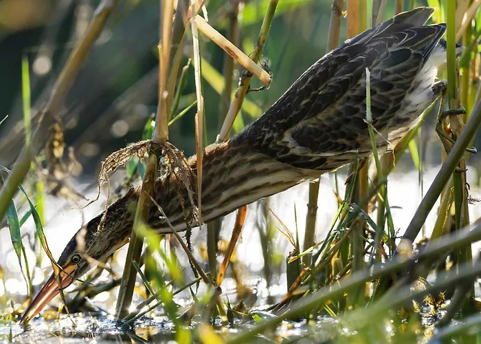Vitan Modern Apartment, Sleeps 4 Apartmán Bukurešť